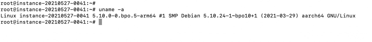 保姆级教程！甲骨文ARM DD成Debian10并升级内核成5.10